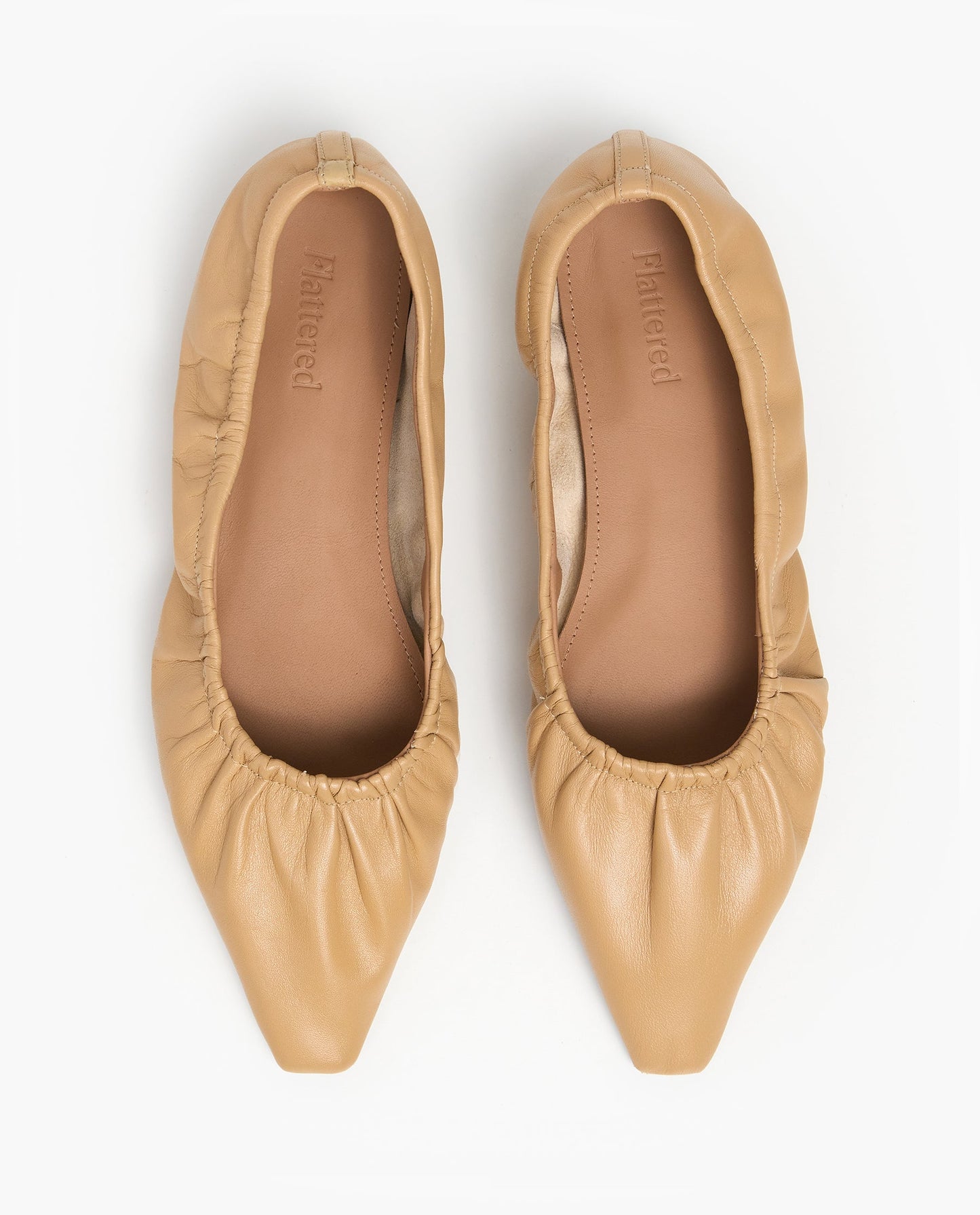 Isa Leather Biscotti